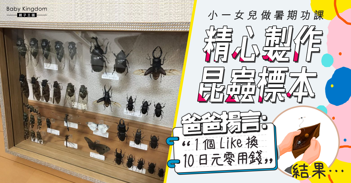 港識教養】小一女兒精心製作昆蟲標本日本爸爸分享求Like 結果… | 親子王國